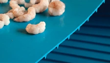 Les bases des bandes transporteuses légères