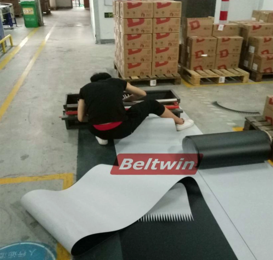 L'UNE DES EXPÉRIENCES DE TRAVAIL D'ÉPISSAGE SUR SITE DE BELTWIN