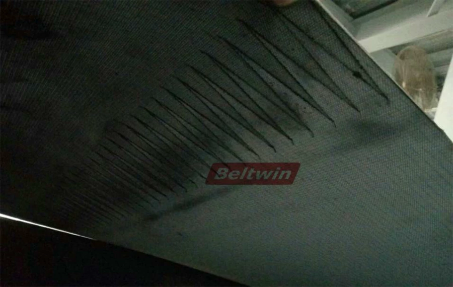 L'UNE DES EXPÉRIENCES DE TRAVAIL D'ÉPISSAGE SUR SITE DE BELTWIN